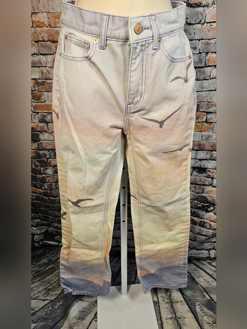 BDG Urban Outfitters Sunset Landscape Print Cropped Straight Leg Jeans W Sz 24